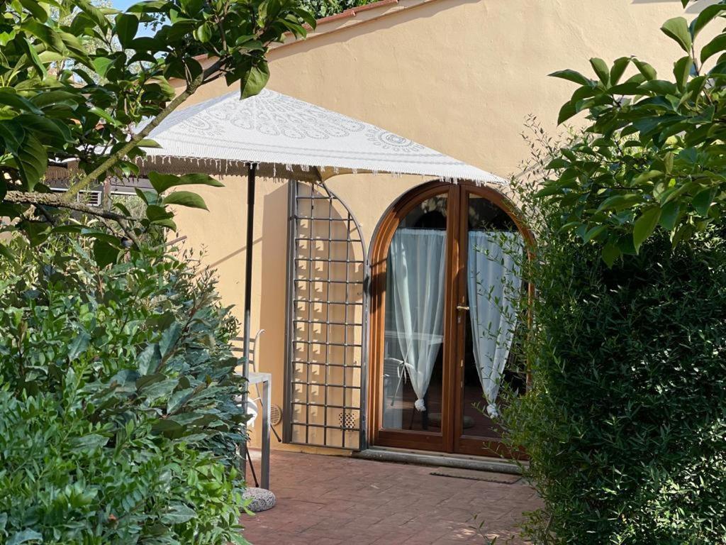Gatto Bianco Tizzauli Villa Montespertoli Eksteriør billede